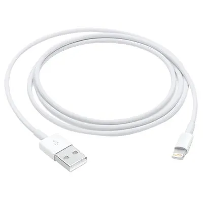 Lightning to USB 1mt