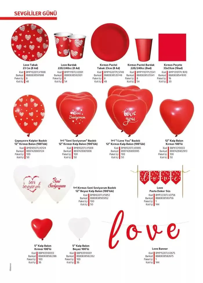 Katalog Ürün Kataloğu 8 Ocak - 8 Şubat 2025 - aktüel Sayfa 123