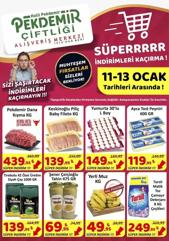 Pekdemir katalog - 1