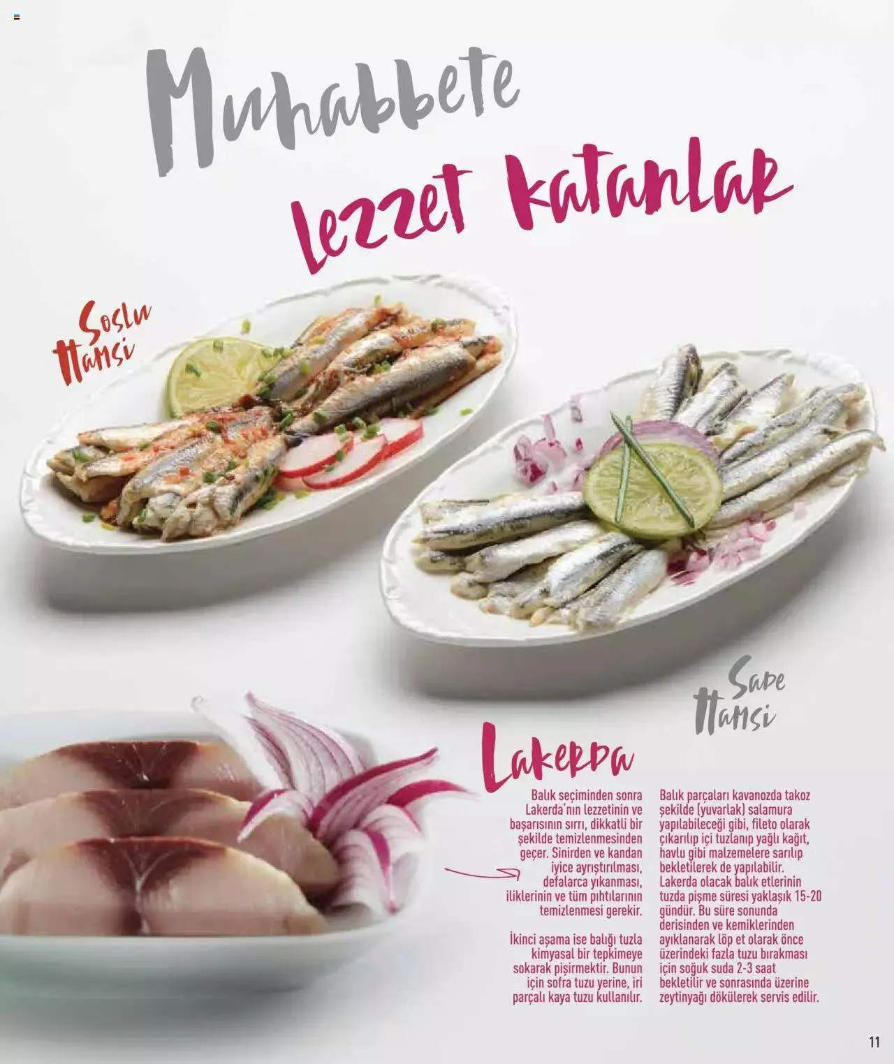 Katalog CarrefourSA Katalog - Tam Mevsiminden Doğru Balık 7 Kasım - 31 Aralık 2023 - aktüel Sayfa 11