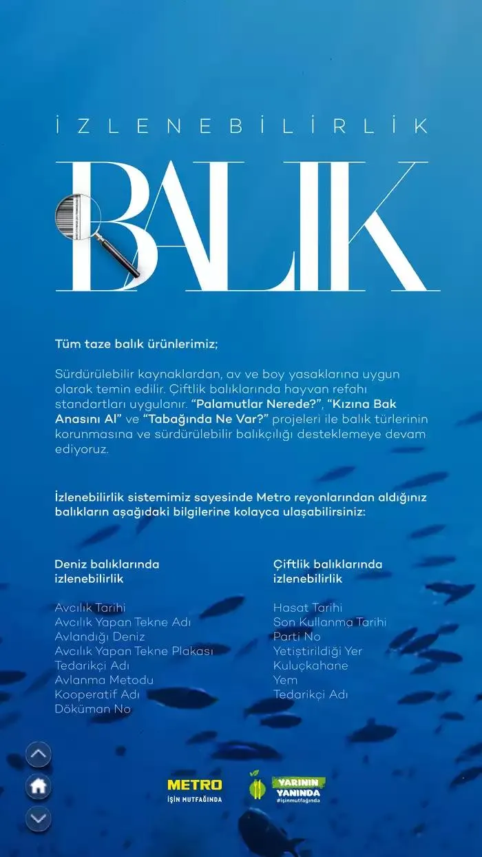 Katalog Sürdürülebilir Ürünler Kataloğu 7 Şubat - 31 Aralık 2025 - aktüel Sayfa 24