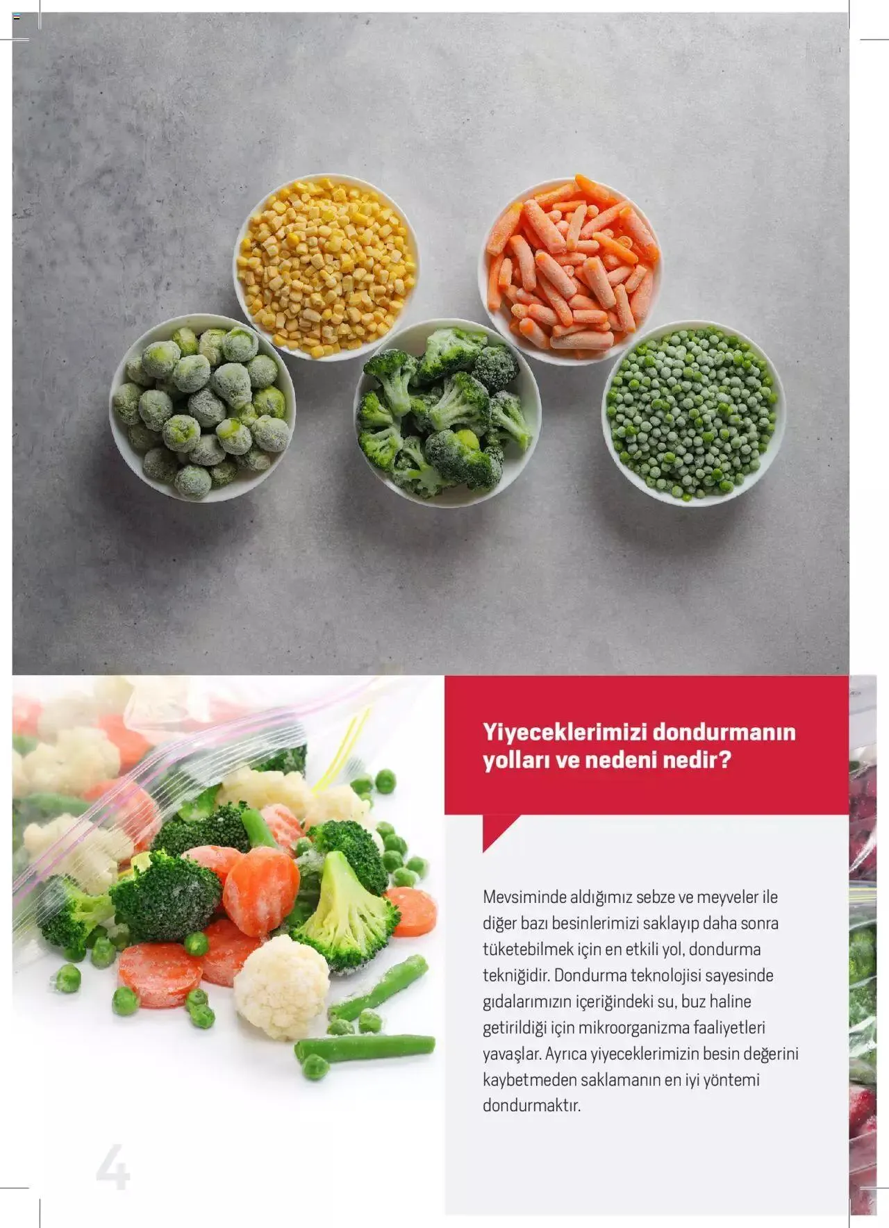 Katalog Arçelik Katalog - Dondurucu Kullanımında Püf Noktaları 16 Mart - 31 Aralık 2023 - aktüel Sayfa 4