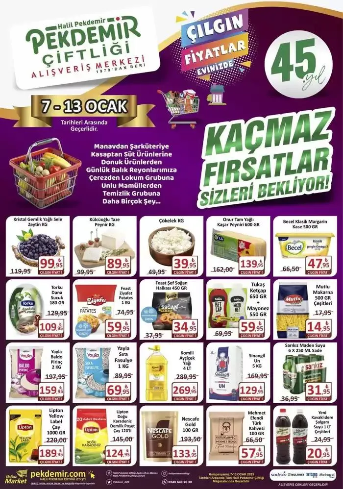 Pekdemir katalog - 1
