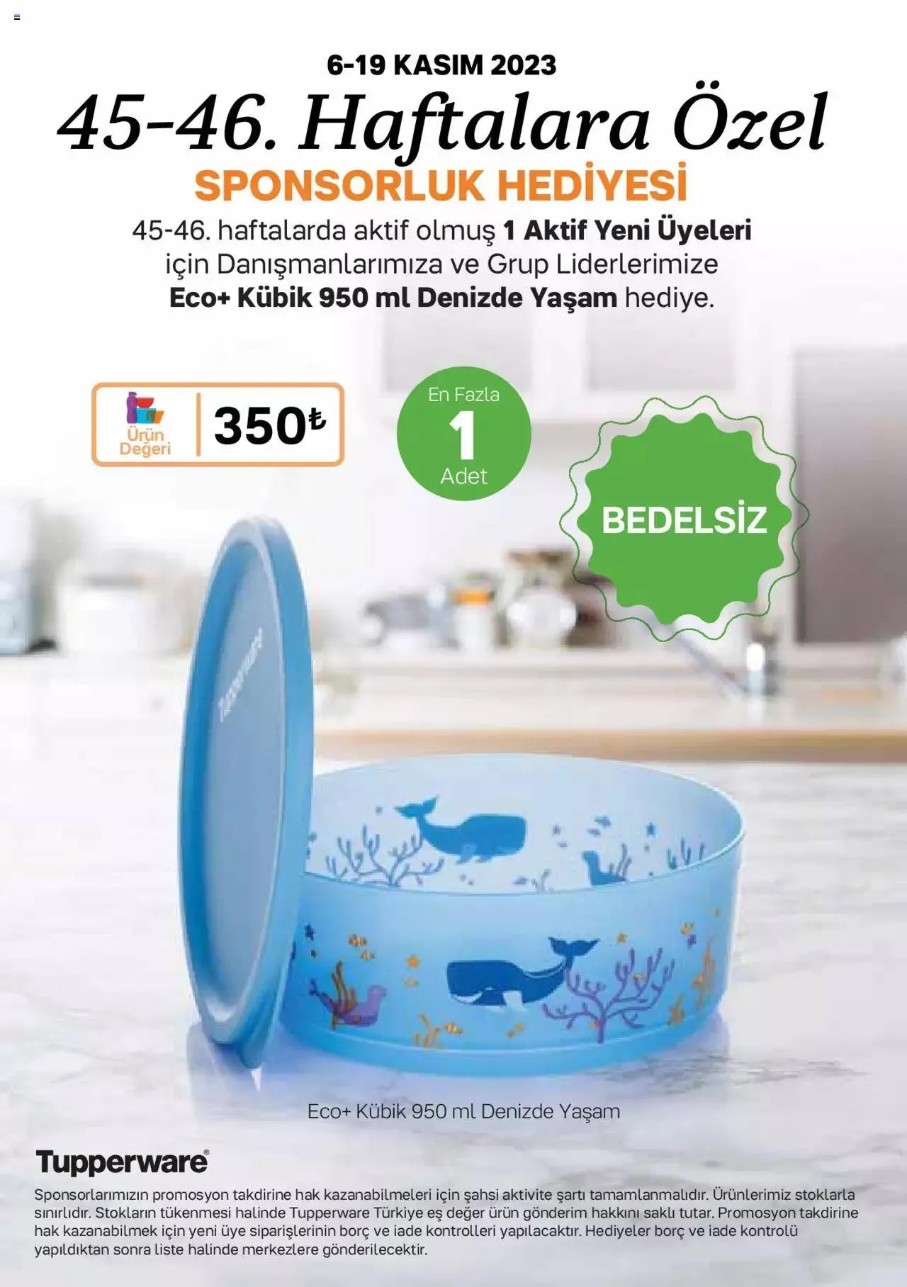 Katalog Tupperware Fırsat Ürünleri 1 Kasım - 30 Kasım 2023 - aktüel Sayfa 45