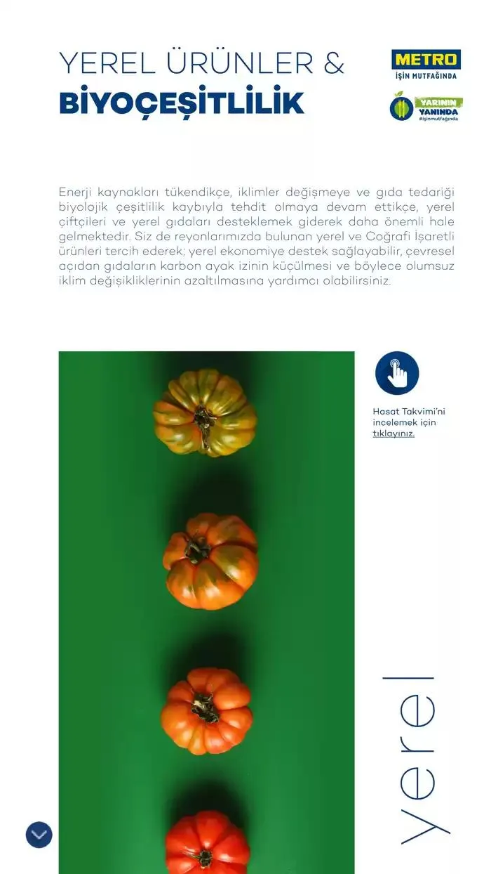 Katalog Sürdürülebilir Ürünler Kataloğu 7 Şubat - 31 Aralık 2025 - aktüel Sayfa 7