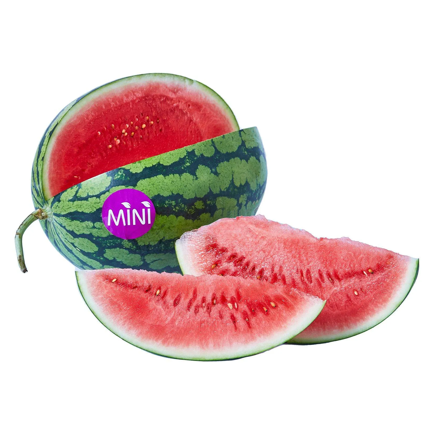 Karpuz Mini