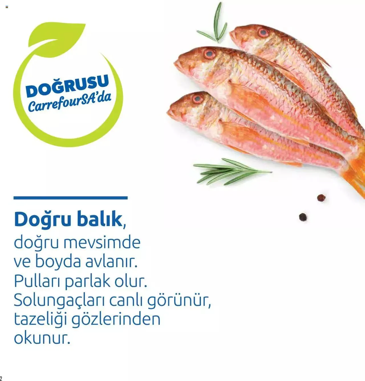 Katalog CarrefourSA Katalog - Tam Mevsiminden Doğru Balık 7 Kasım - 31 Aralık 2023 - aktüel Sayfa 2