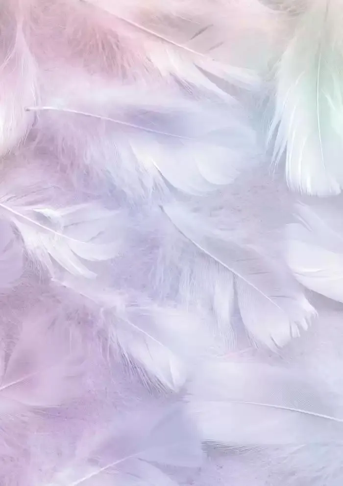 Katalog OTEL VE SPA TEKSTILI 2025 KOLEKSIYONU 8 Ocak - 31 Aralık 2025 - aktüel Sayfa 36