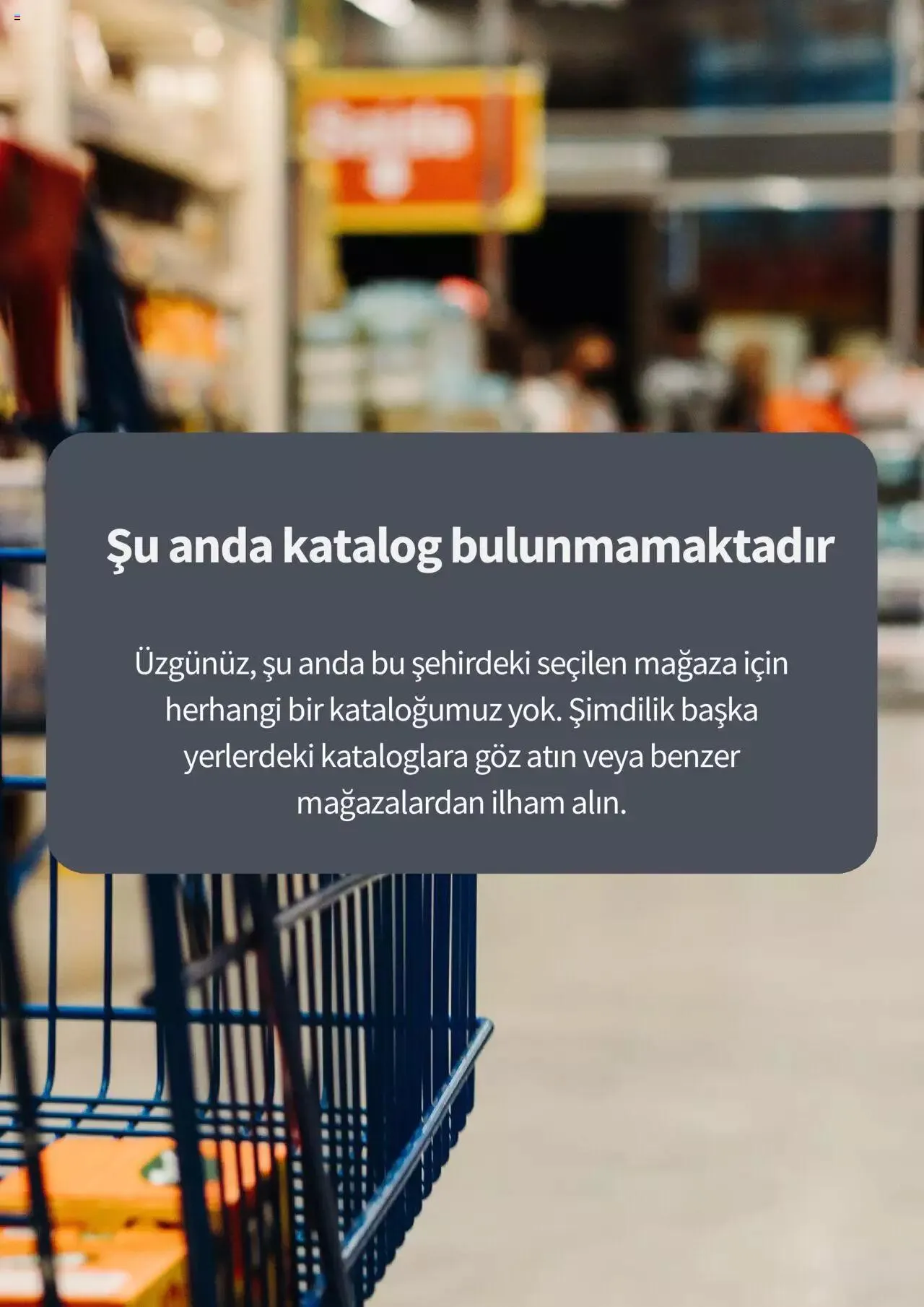 Katalog Tchibo Katalog 1 Ocak - 7 Ocak 2024 - aktüel Sayfa