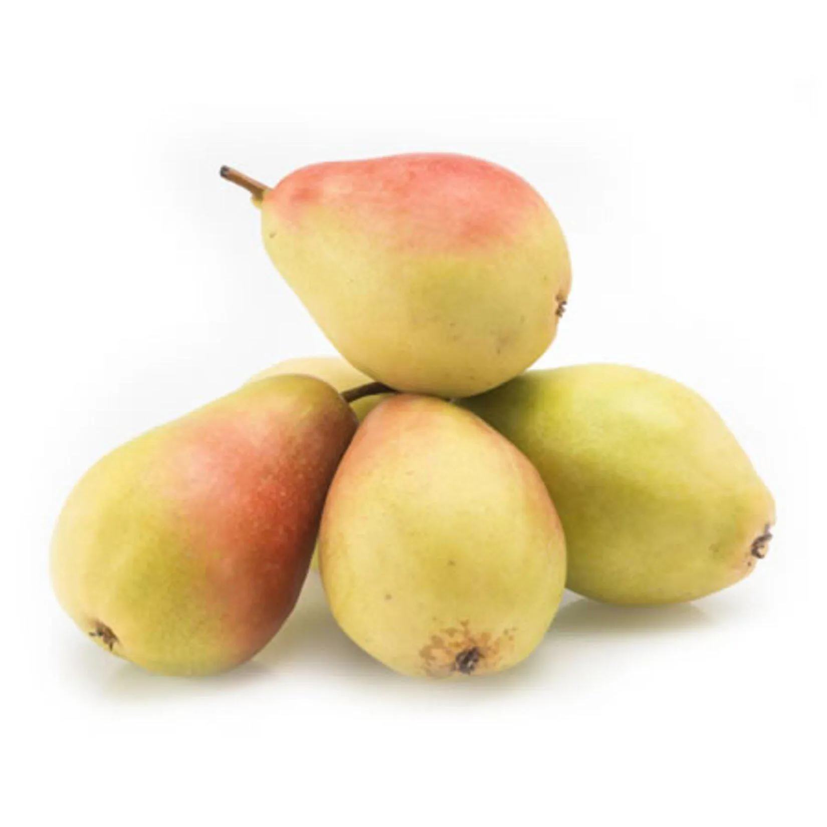 Armut Santa Maria Lux Kg