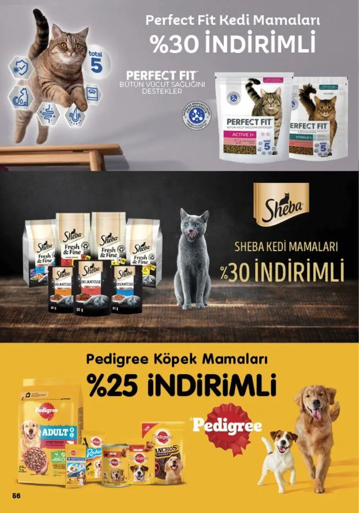 Katalog Migros katalog 29 Ağustos - 11 Eylül 2024 - aktüel Sayfa 56