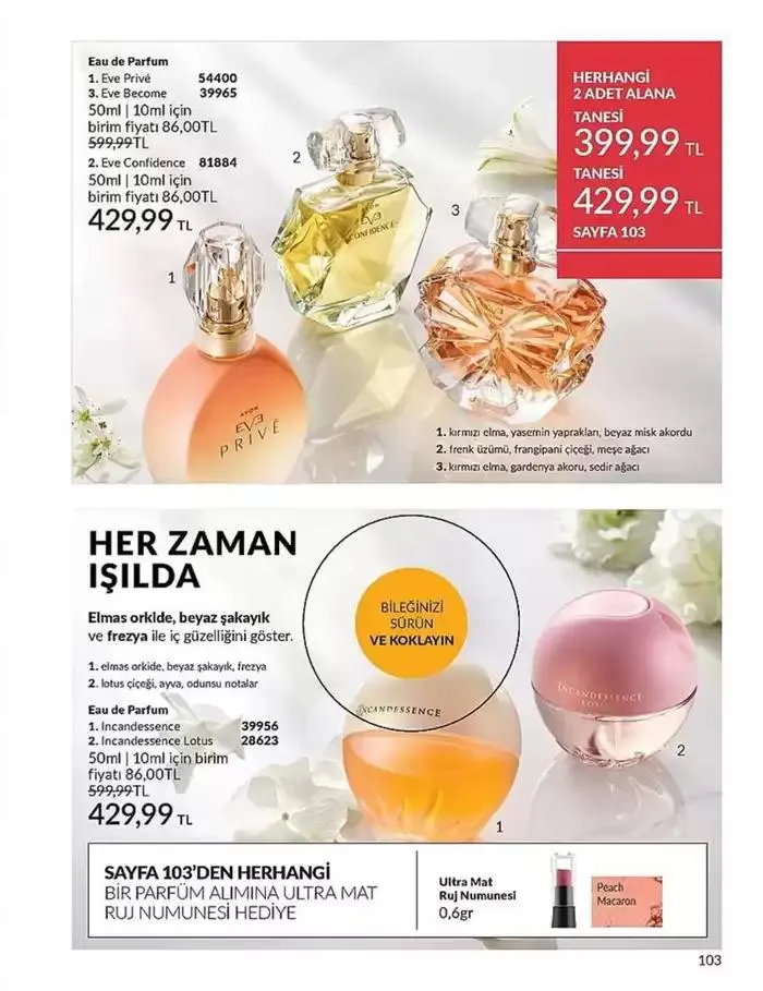 Katalog Ocak 2025 İndirim Kataloğu 7 Ocak - 31 Ocak 2025 - aktüel Sayfa 103