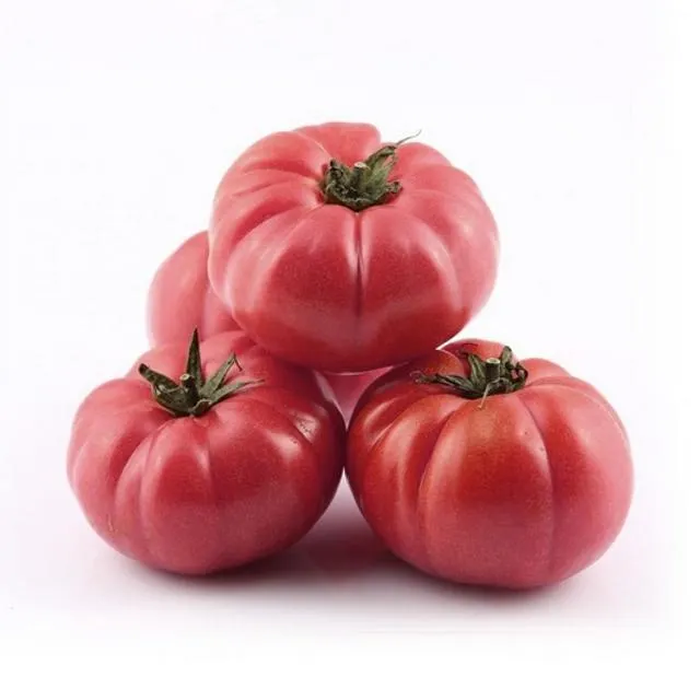 DOMATES ORGANİK PEMPE