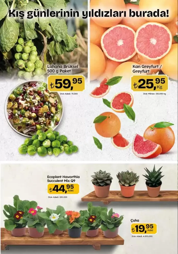 Katalog Migros katalog 9 Ocak - 22 Ocak 2025 - aktüel Sayfa 10