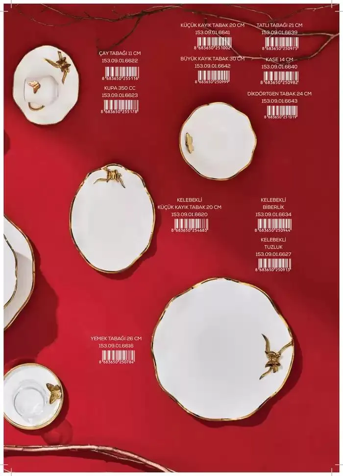 Katalog Sofra 2 İlkbahar 30 Ekim - 31 Aralık 2024 - aktüel Sayfa 67