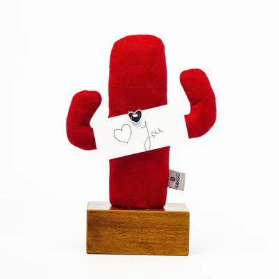 Kayıgo Cactus Lavanta Dolgulu Notluk Kırmızı