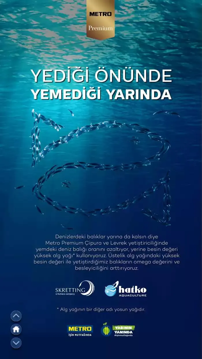 Katalog Sürdürülebilir Ürünler Kataloğu 7 Şubat - 31 Aralık 2025 - aktüel Sayfa 29