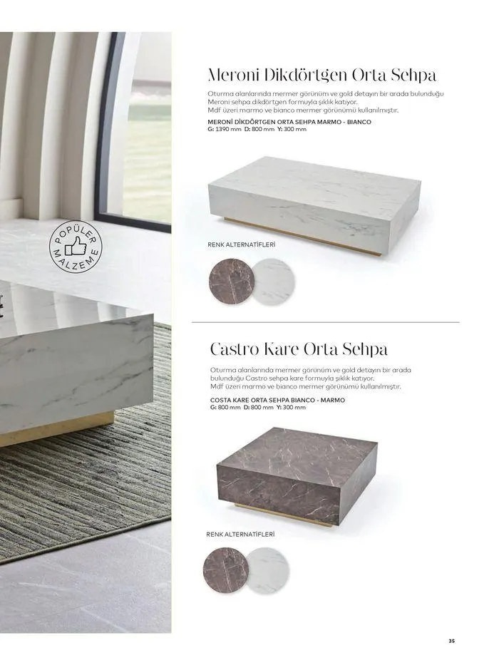 Katalog SEHPA VE PUFLAR KATALOĞU 23 Ocak - 31 Aralık 2024 - aktüel Sayfa 35
