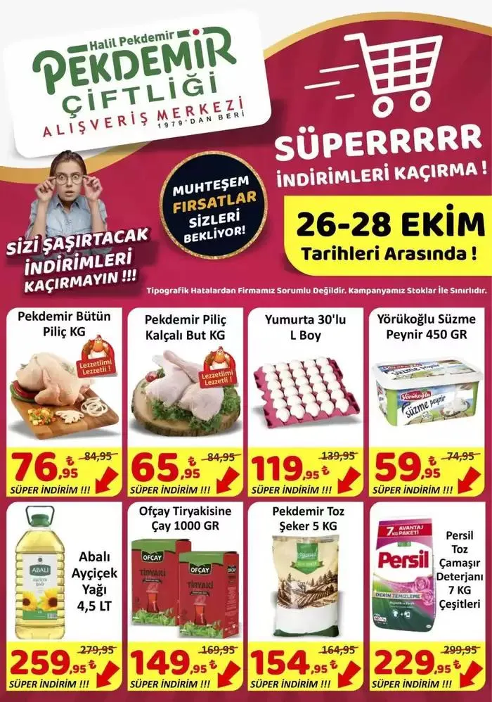 Pekdemir katalog - 1
