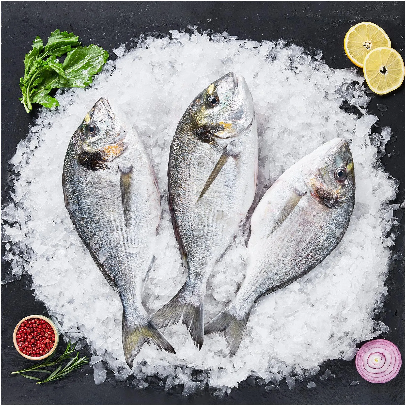 Çipura 600/800 G (m)