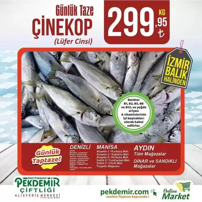 Katalog Pekdemir katalog 5 Ocak - 12 Ocak 2025 - aktüel Sayfa 4