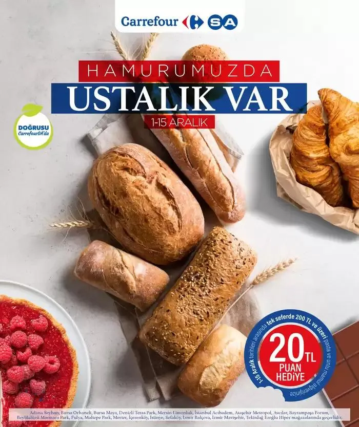 Kataloglar CarrefourSA - 1