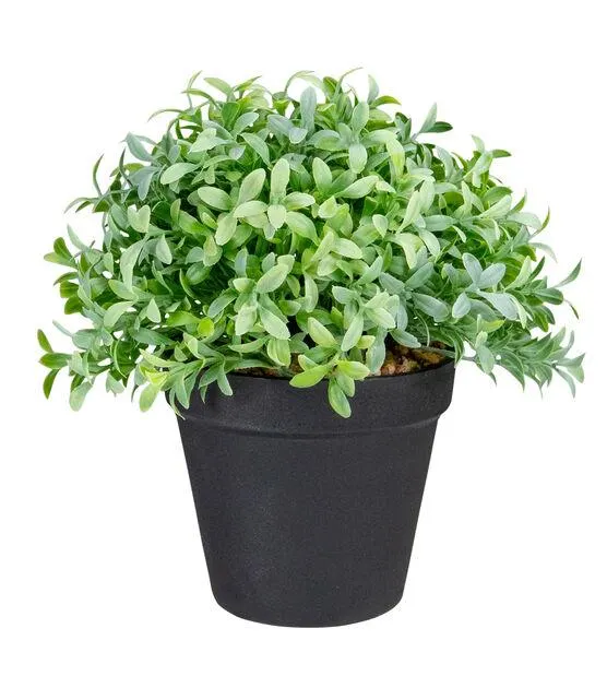 Northlight 7.5" Potted Green Artificial Boxwood Plant