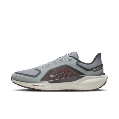 Nike Pegasus 41 GORE-TEX