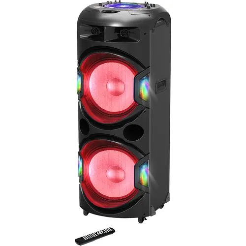 Dual 15'' Professional Party Speaker with Dual Player System
