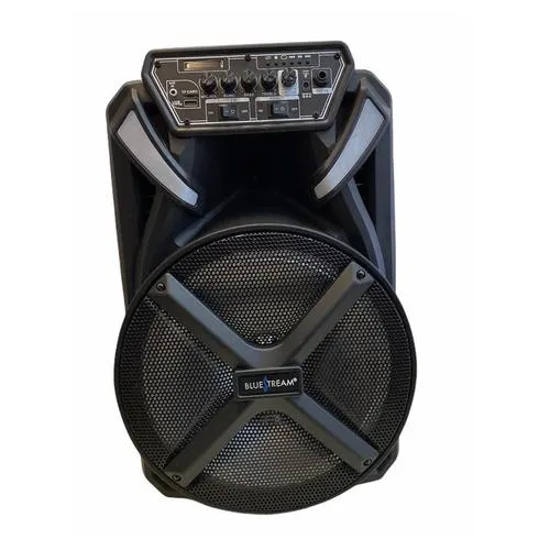 - 12-inch Active Bluetooth Loudspeaker