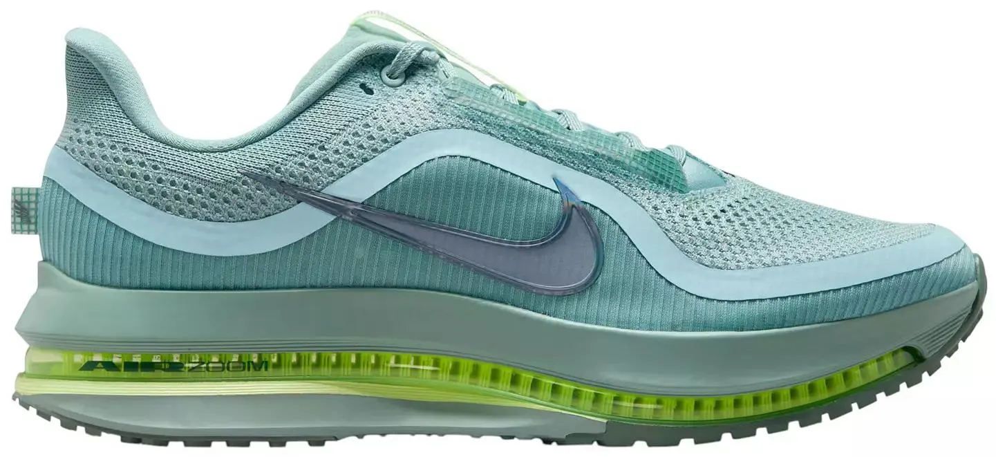 Nike Men's Pegasus Premium Running Shoes