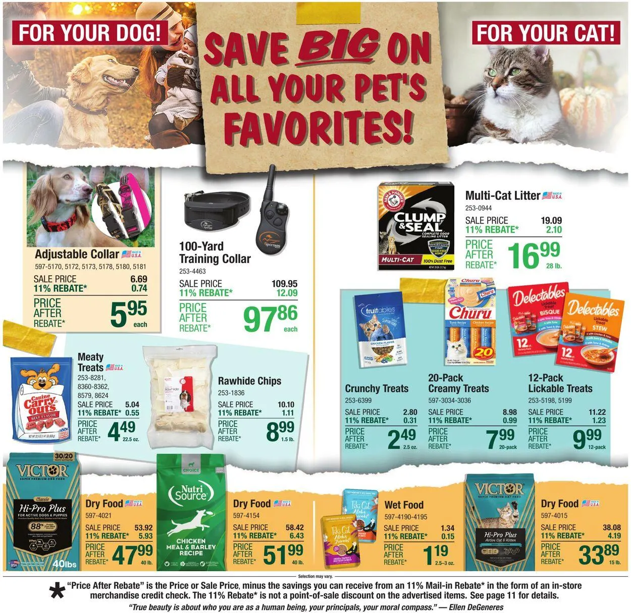 Catálogo de Menards Current weekly ad 29 de octubre al 9 de noviembre 2025 - Página 19