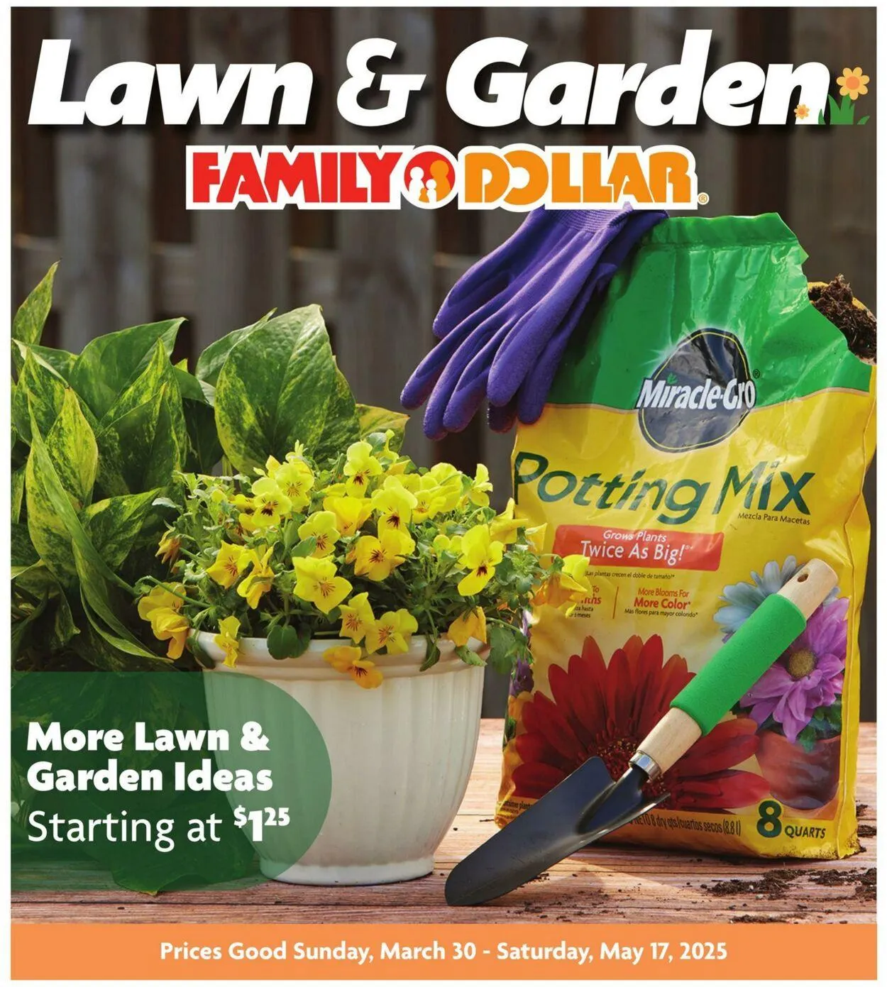 Catálogo de Family Dollar Current weekly ad 30 de marzo al 17 de mayo 2025 - Página 1