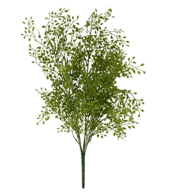 19" Spring Green Thyme Bush by Bloom Room