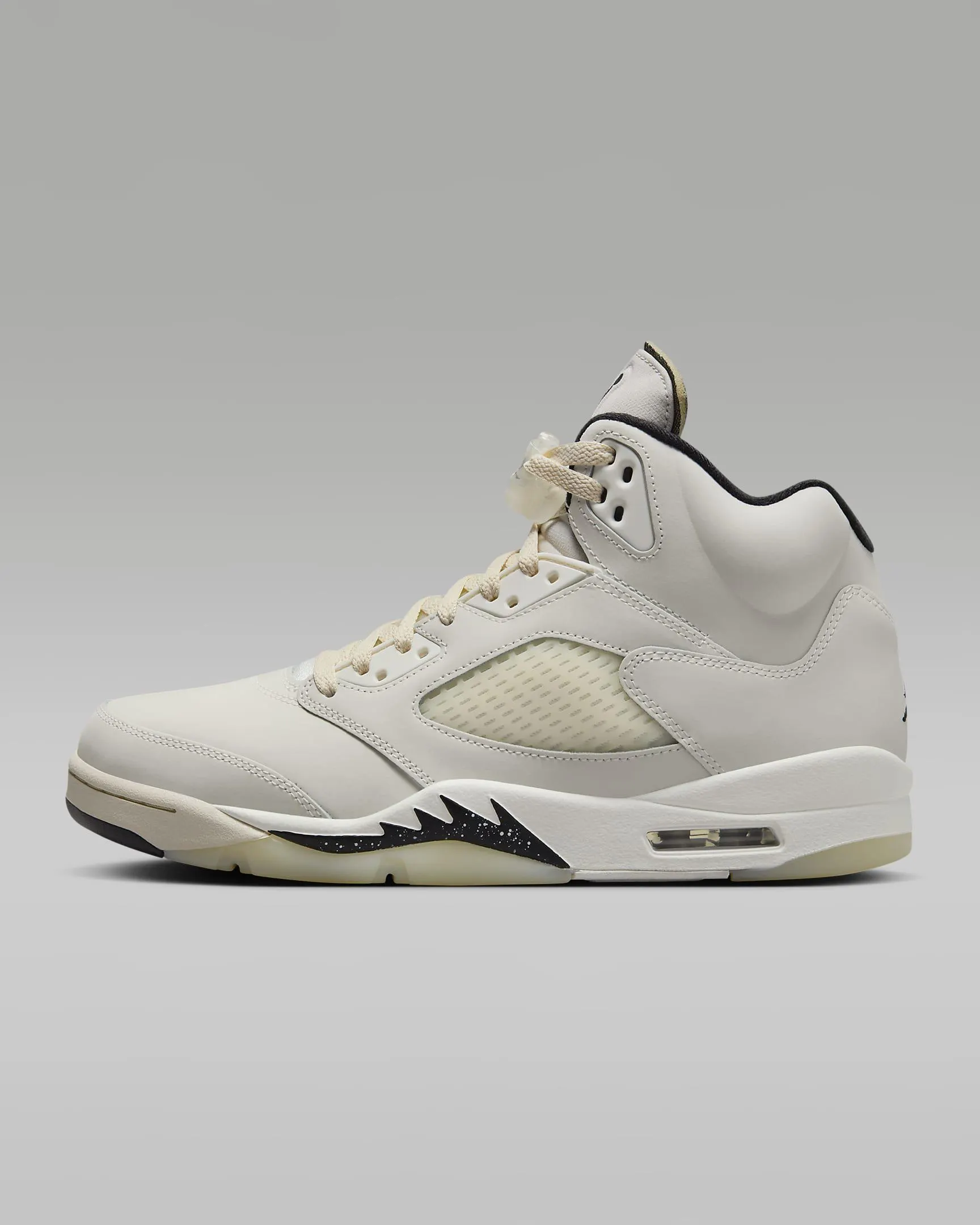 Air Jordan 5 Retro SE