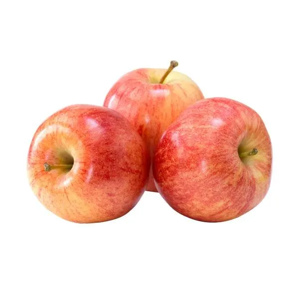 Gala Apple