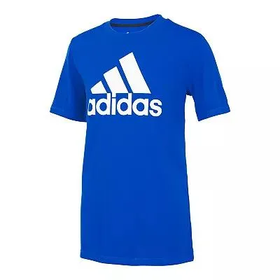 Boys 8-20 adidas Graphic Tee