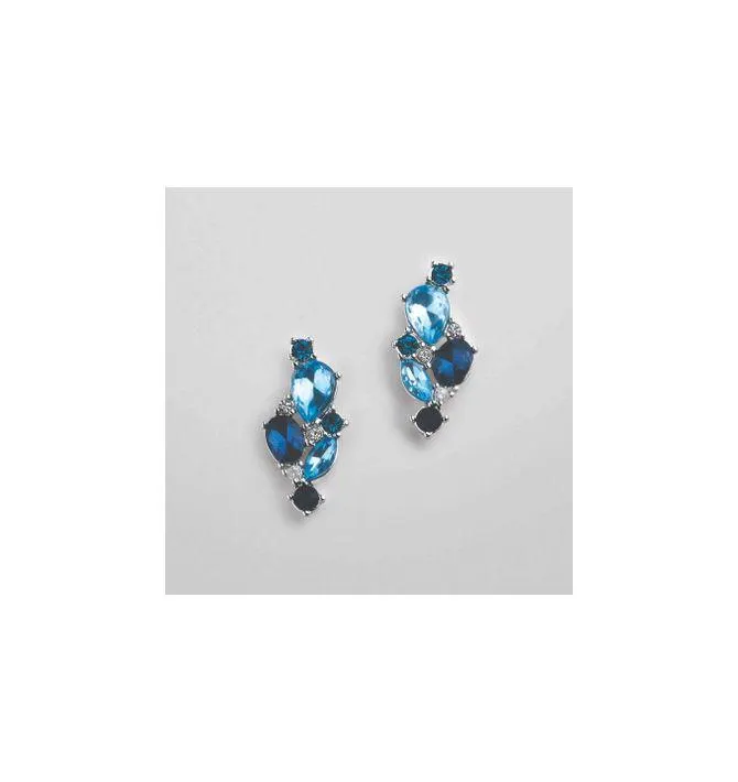 Blue Cluster Tonal Earrings