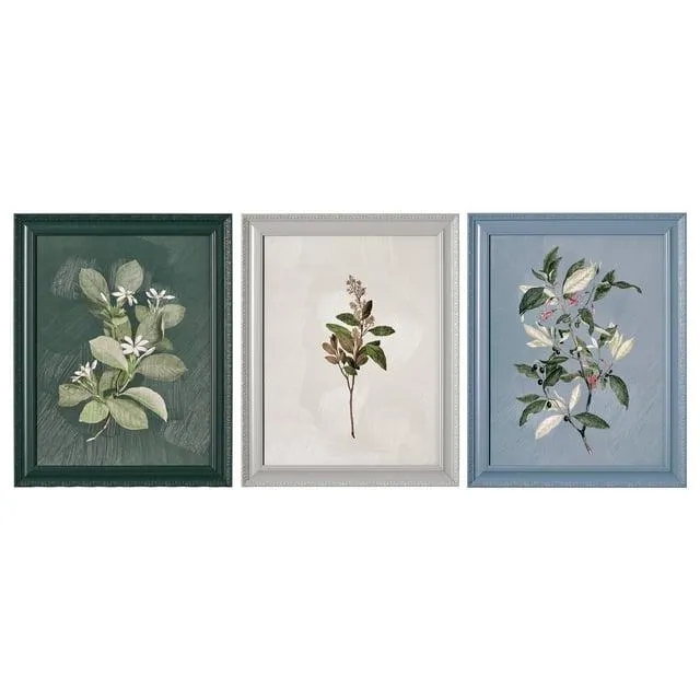 Beautiful by Drew Framed Vintage Botanical Color Block set of 3