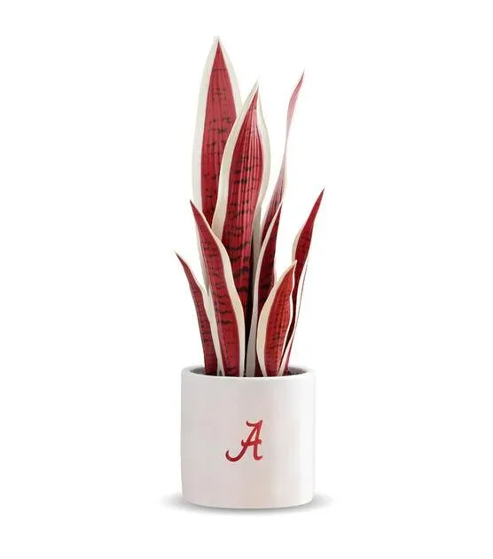 Forever Leaf 18" Alabama Faux Snake Plant