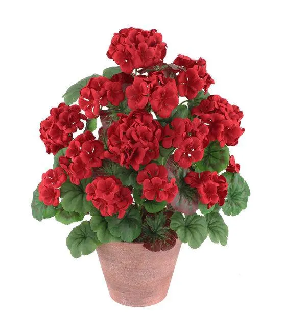 22" Summer Red Geranium Arrangement by Bloom Room
