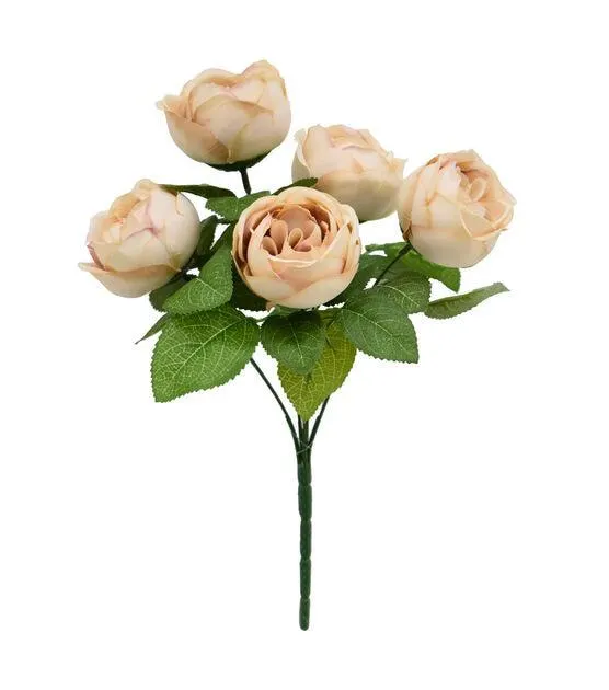 14" Spring Champagne Matured Rose Bush by Bloom Room