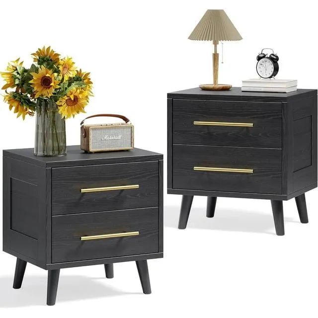 Lofka Store Modern Nightstand with 2 Drawers, Set of 2, Black
