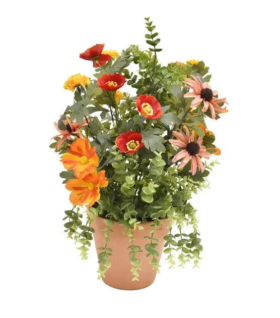 20" Summer Daisy & Marigold Arrangement by Bloom Room