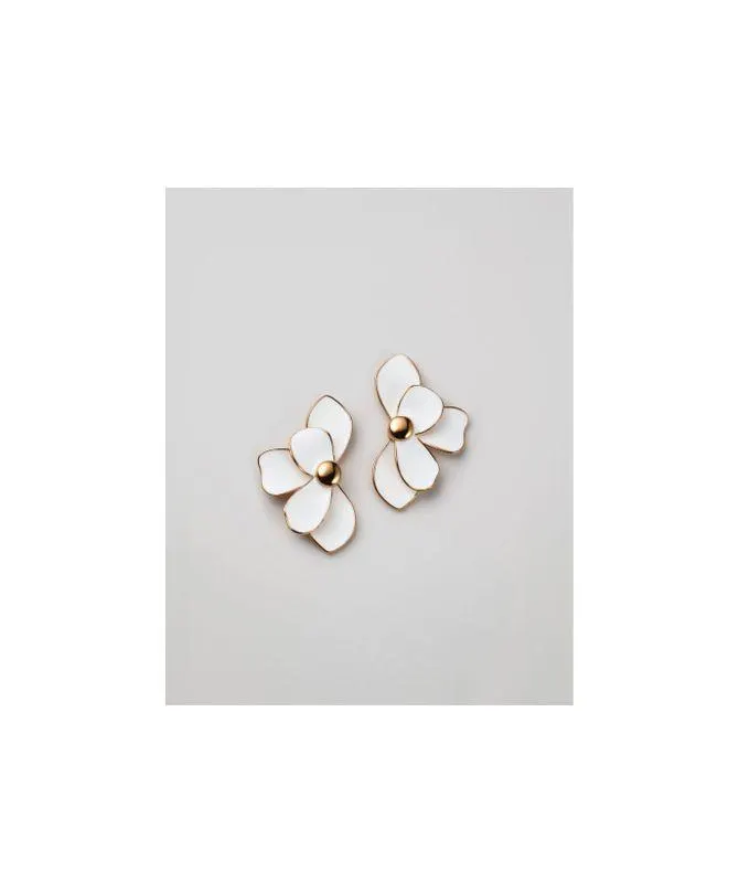 También podría gustarte