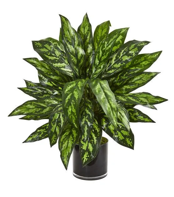 Nearly Natural 27" Silver King Artificial Plant in Black Glass Vase