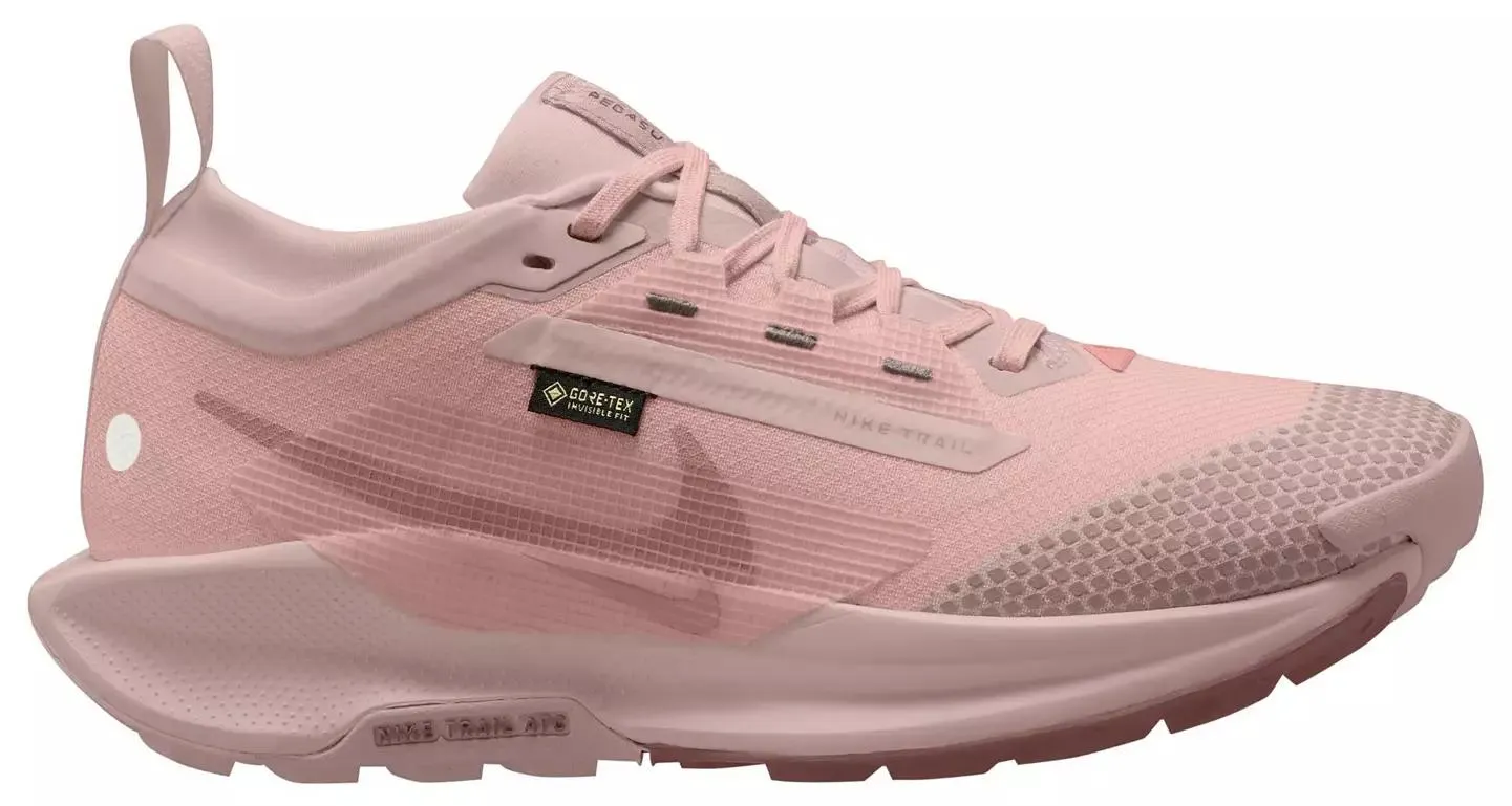 Nike Women's Pegasus Trail 5 GORE-TEX Running Shoes