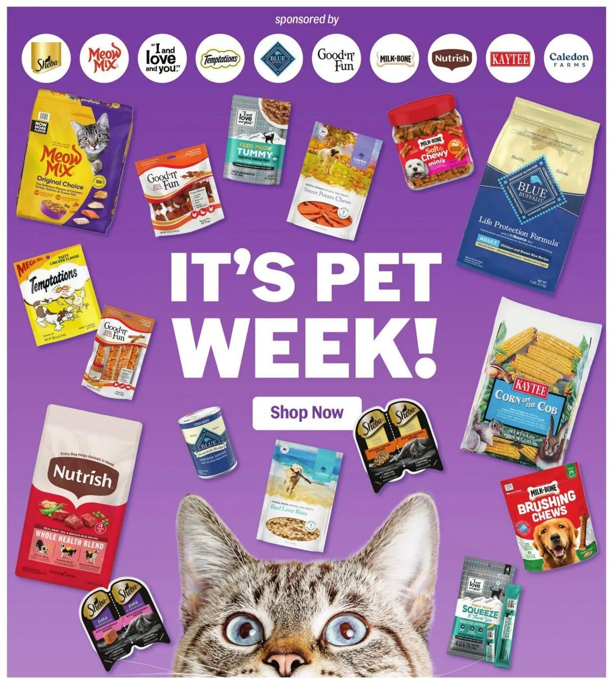 Catálogo de Meijer Current weekly ad 11 de mayo al 17 de mayo 2025 - Página 49