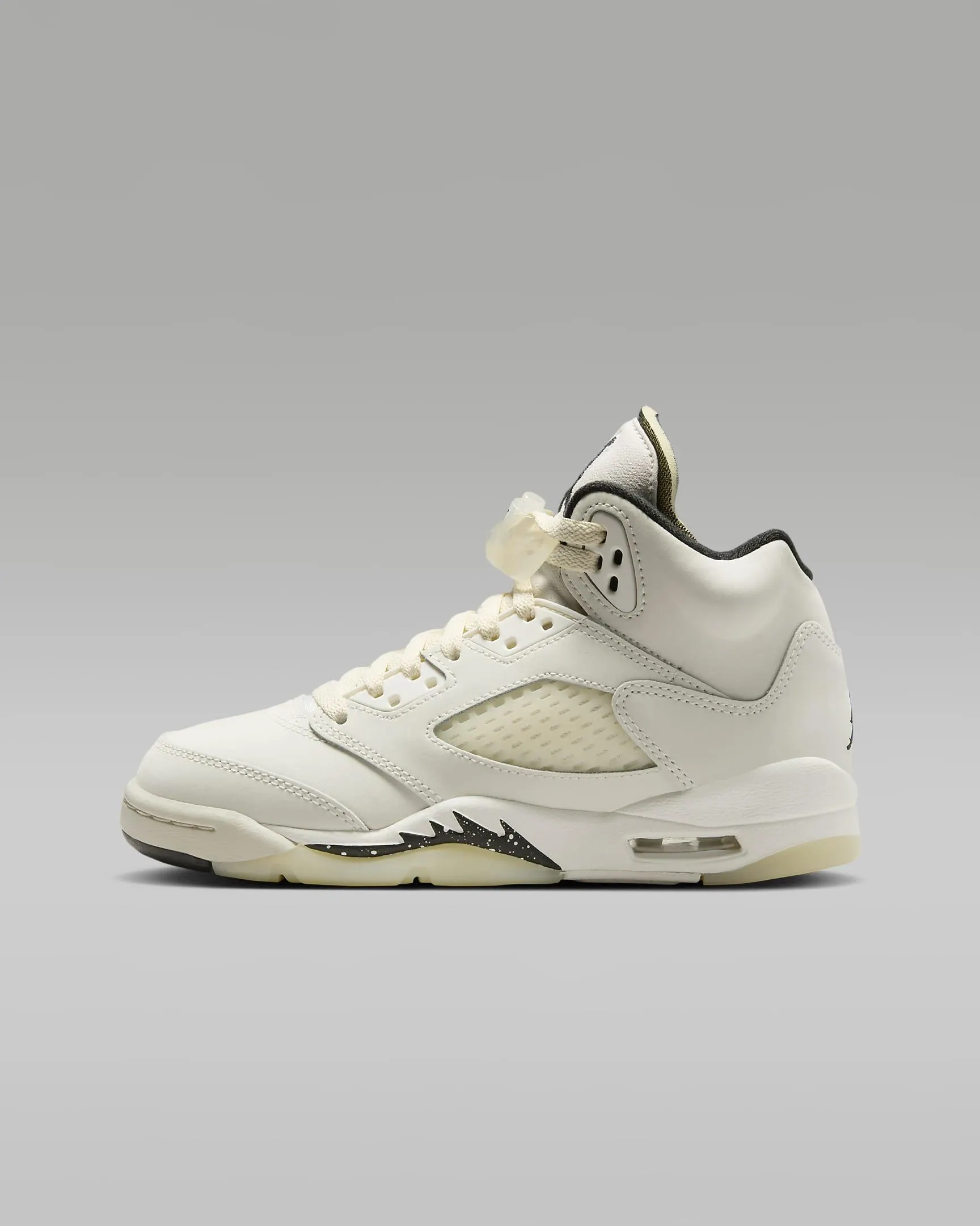 Air Jordan 5 Retro SE