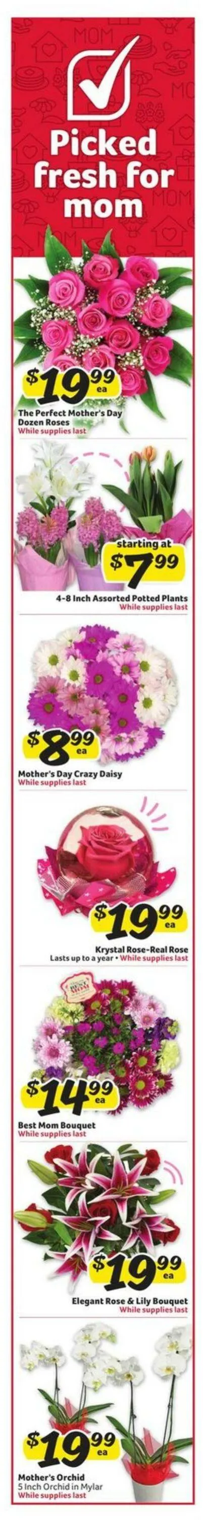 Catálogo de Winn Dixie Current weekly ad 7 de mayo al 13 de mayo 2025 - Página 2